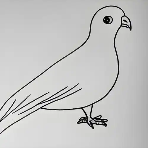 鸽子简笔画儿童画