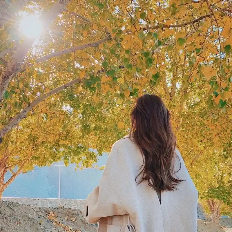 那背影的头像能不能用呢?如果你不介意以上所说的可以用