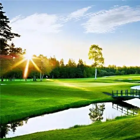 给人一种阳光的头像 高清好看充满阳光朝气的微信头像图片_微信头像