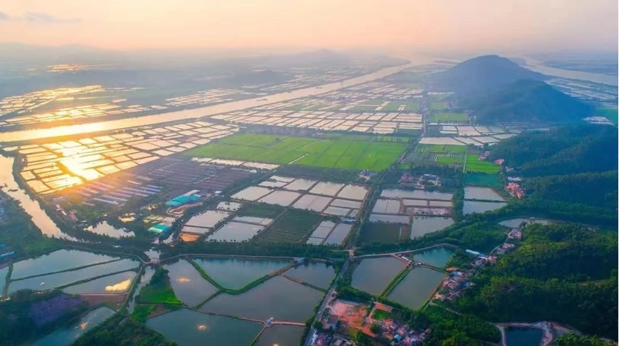 珠海市斗门区白蕉镇