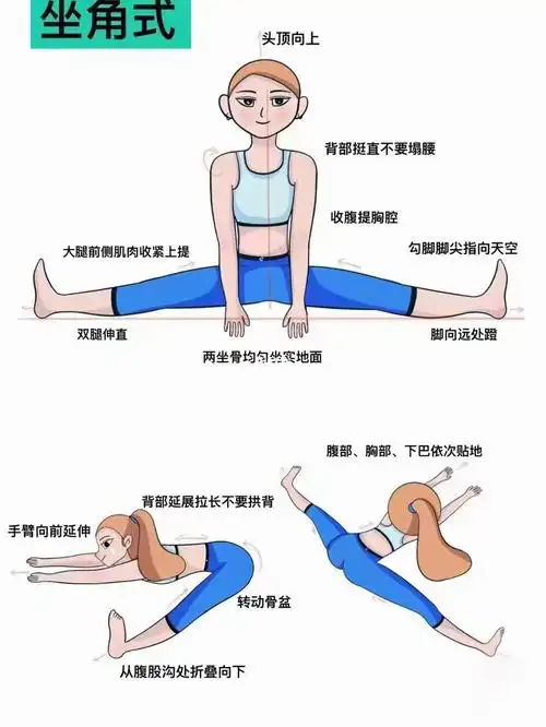 41566改善女性痛经月经不调等女性问题,滋养卵巢子宫#一起来瑜伽