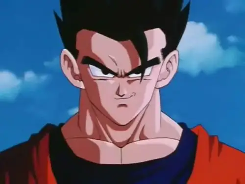 请问这是孙悟饭青年期吗?感觉不像啊