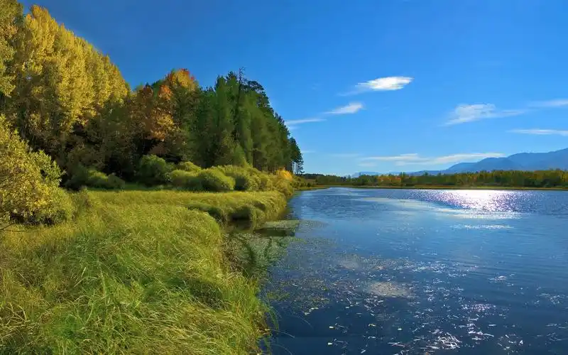 壁纸 树,草,绿色,湖,蓝天,自然风景