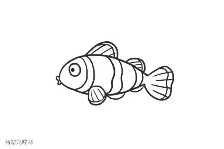 海里的鱼小丑鱼简笔画怎么画