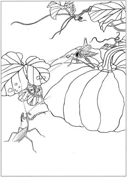 工笔画勾线笔 工笔画套笔 工笔画套装  高清电子图库  工笔画白描 你