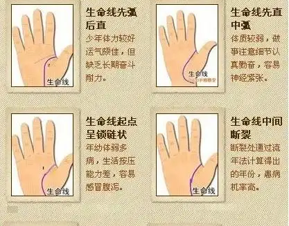 手相图解爱情(如何看手相算命图解 女性)_广州物流查询网