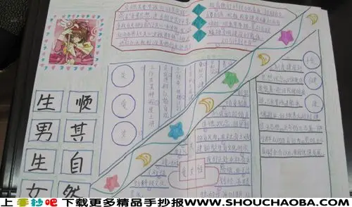 计划生育手抄报