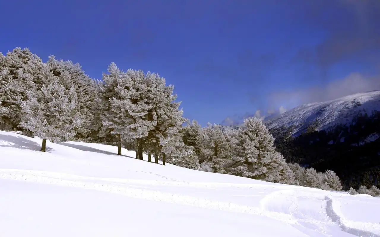 美丽的雪国风光冬季自然美景高清风景电脑桌面壁纸(二)
