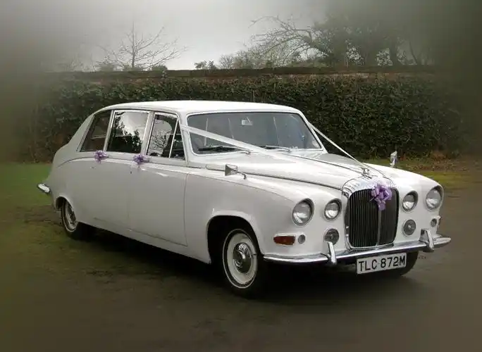 wedding cars come with chauffeur, ribbons & bows in the colour