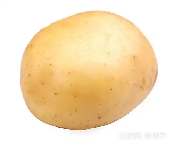 香喷喷的土豆为素食主义者有营养的食物的.夏天收获的蔬菜