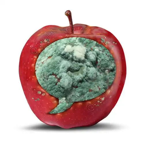 怨恨讲话标志和危险的可恶的仇外心理通信象作为与烂掉