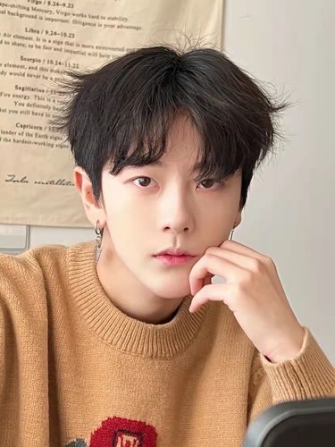 蓬松帅气_网红同款假发男中分刘海短发韩版帅气自然蓬松学生修脸自拍
