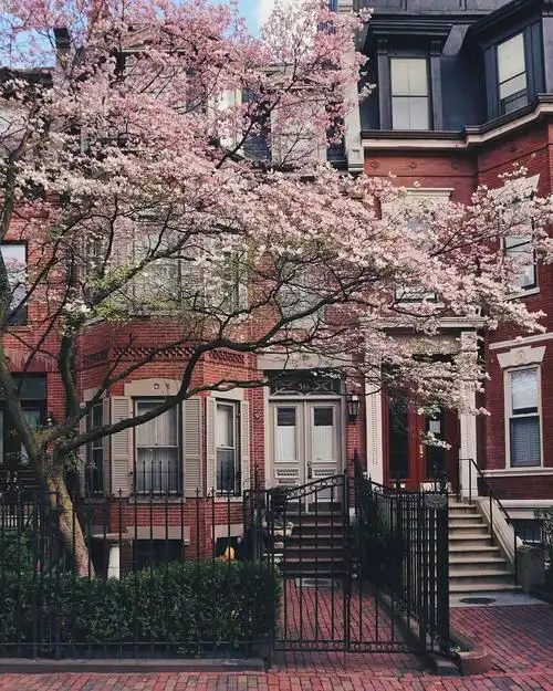 波士顿街道 ins:brianmcw