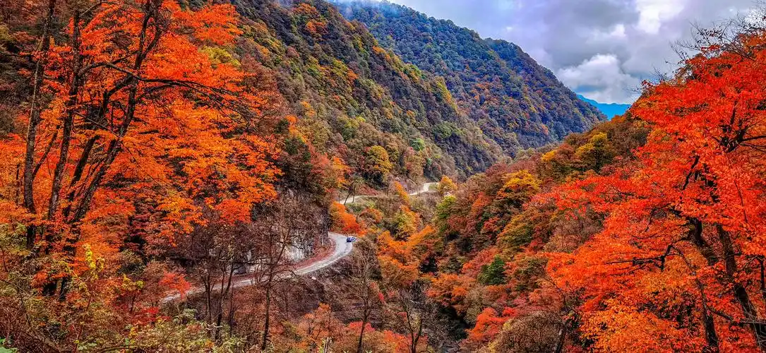 红叶醉染——龙头山!