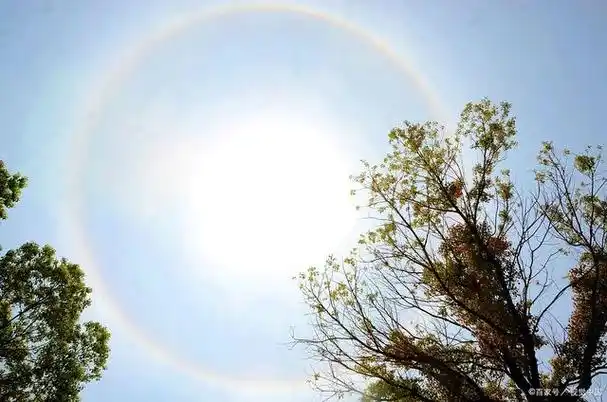 今天天气真是好极了