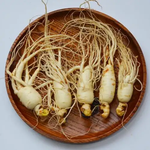 北京同仁堂鲜人参泡酒草参大个人参泡酒人参生人参整枝长白山特大新鲜