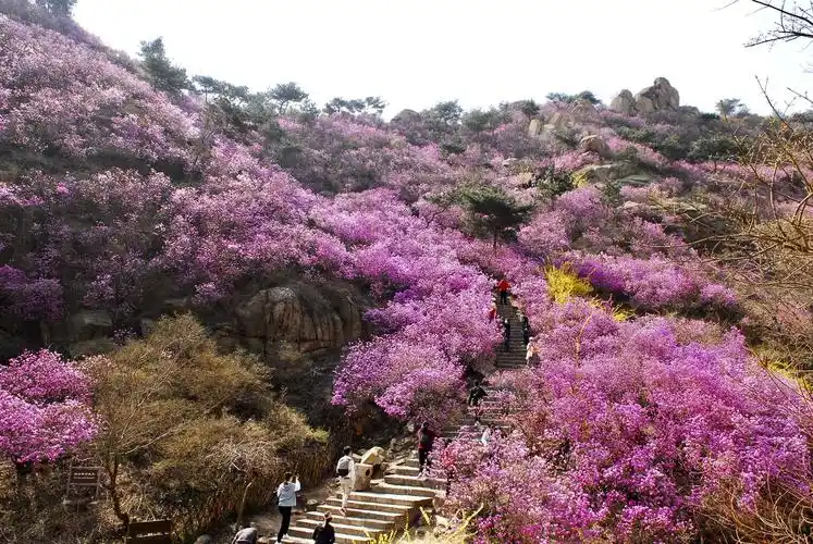 青岛·西海岸新区·大珠山公园 写美篇青岛·西海岸开发区;大珠山风景