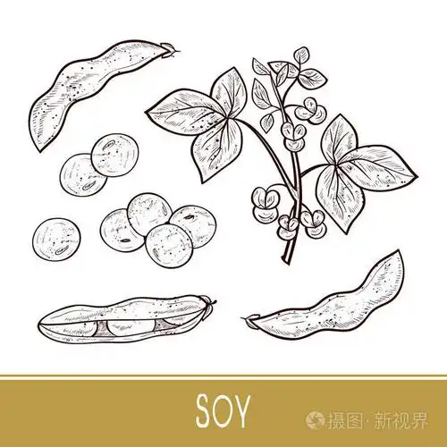 设置插画-正版商用图片154koo-摄图新视界