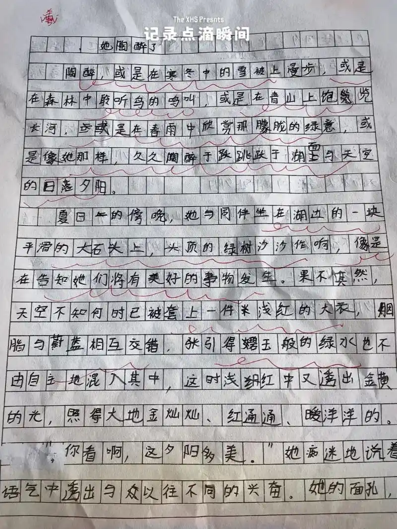 部编版五年级下册作文他怎么了     优秀学生作文