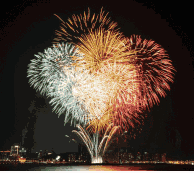 194_173gif 动态图 动图