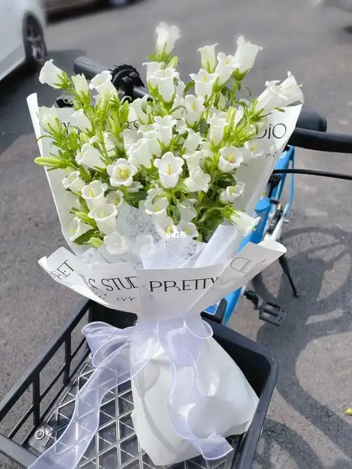 好乖的风铃花束