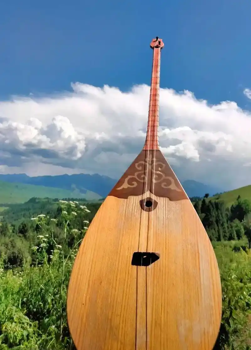 冬不拉#哈萨克 #哈萨克族 #冬不拉弹唱出别样的韵味 #冬不 - 抖音