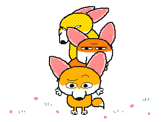 可爱的狐狸动图来喽