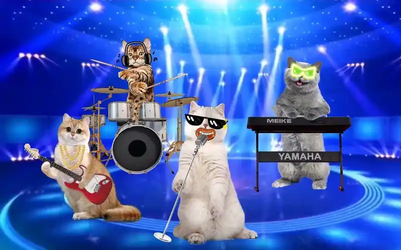 小猫咪乐队魔性mv倾情演绎《你要跳舞吗》