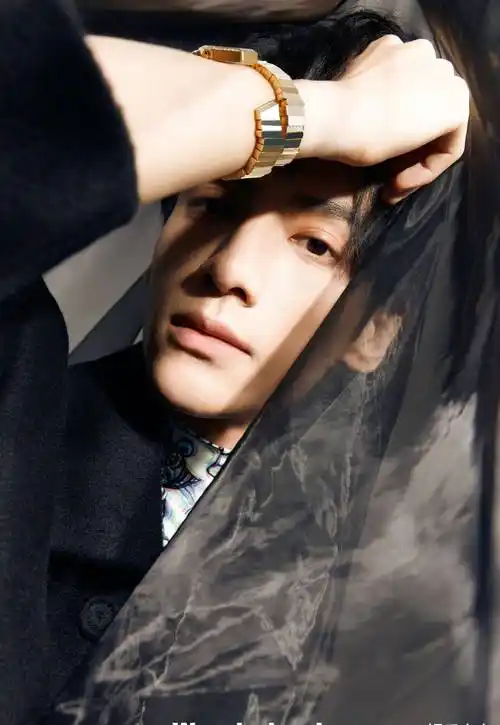 罗云熙《wonderland》五月刊封面,利落套装,展现清俊有型的气质_珠宝