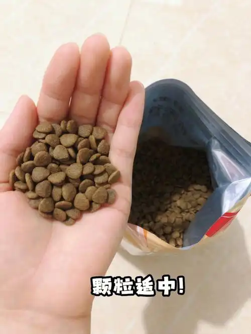 我家狗子超爱的高性价狗粮真的yyds