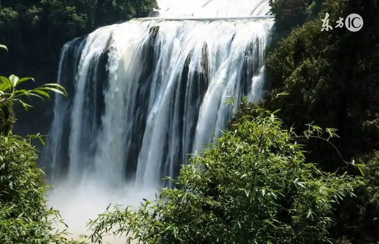 明天2月20日生肖运势播报 特吉生肖:羊,马,兔 幸运