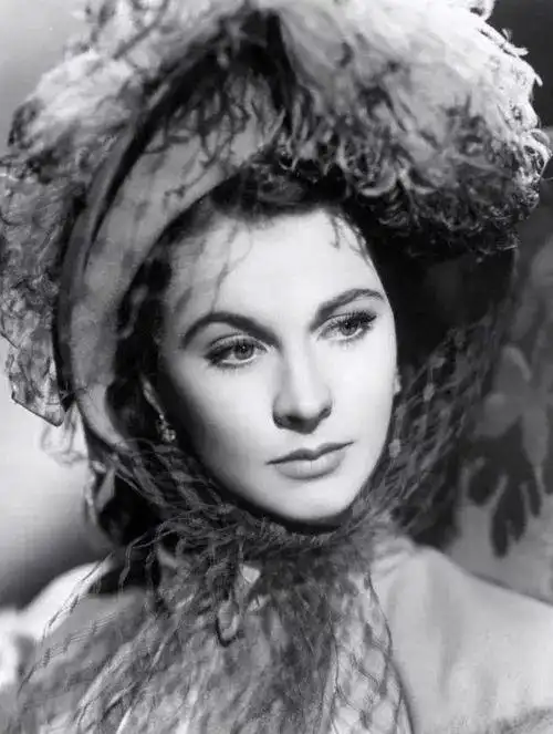 有人说:费雯丽的美是似乎是东西方两种美的精华凝聚,她既具有东方女人