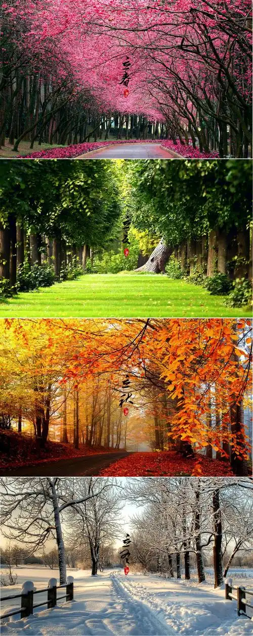 kotisaari小岛的春夏秋冬世界虽小四季分明