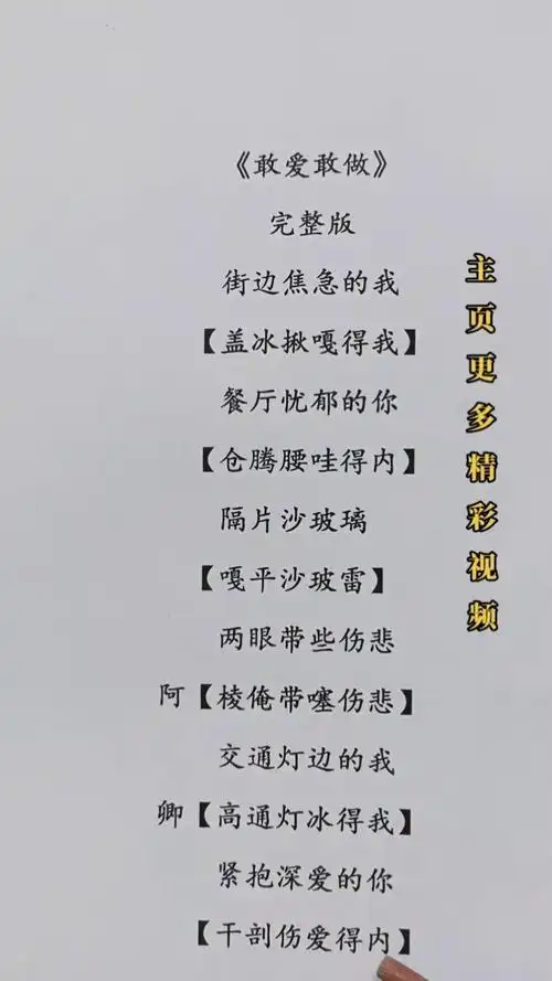 两位达人翻唱敢爱敢做唱的太有感觉了好听