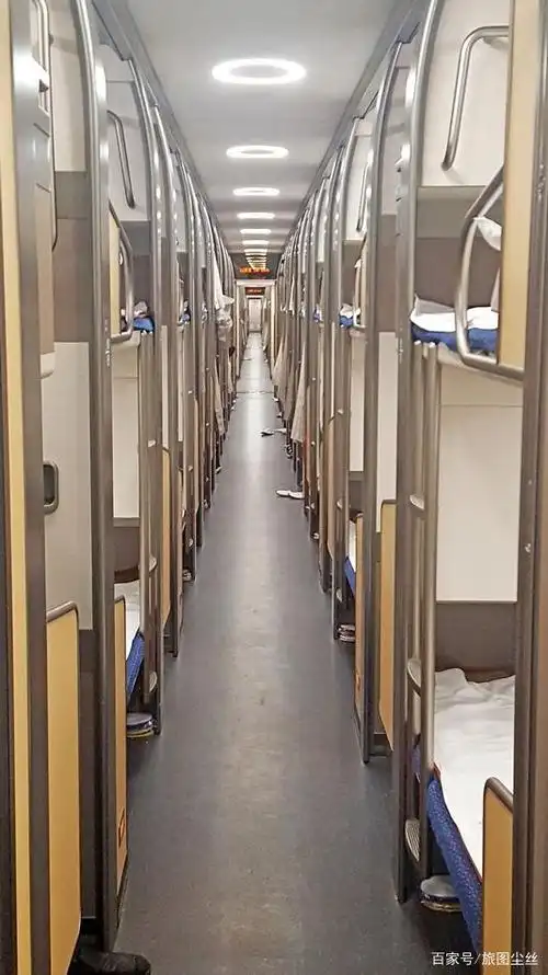 体验我国自主设计的动卧列车,价格比高铁二等座贵,提供免费晚餐