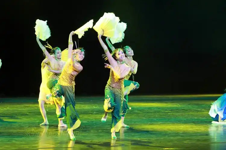 【河南省2015专业舞蹈大赛】麦浪滚滚