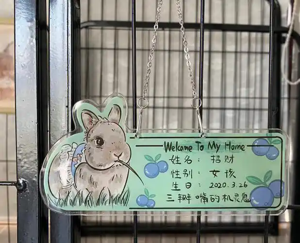 加油吧,我能行～～～#宠物画像  #宠物手绘  #宠物头像约稿  #门牌