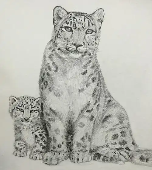 动物家庭|素描|纯艺术|sufixie - 原创设计作品 - 站酷 (zcool)