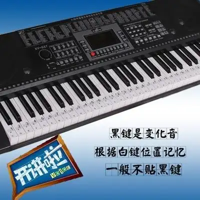 电子琴36键键盘贴电子琴键盘贴琴d键贴纸b五线谱简谱键位贴电佑