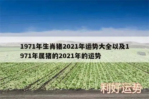 1971出生的属什么生肖 1971年出生是属什么生肖