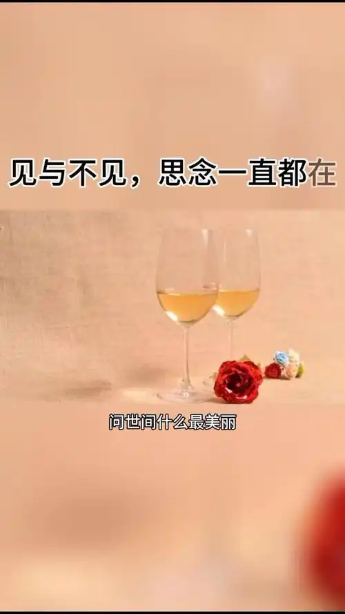 相遇靠缘分,相守靠人心,#情感语录-情感视频-搜狐视频