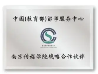 2024年南京传媒学院留学新加坡国际课程招生简章