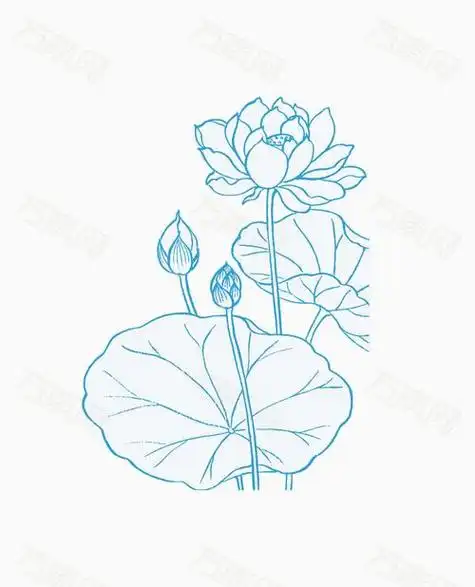 荷花简笔画简单荷花简笔画简单又好看画法