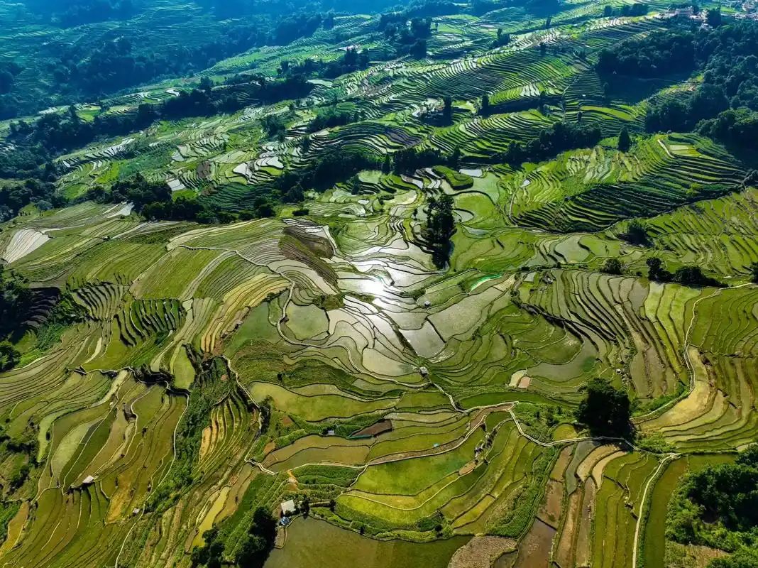 适合一个人去的地方-元阳梯田.推荐旅行地,又是一个比较有特色 - 抖音