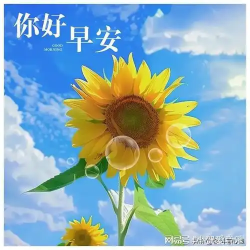 太阳冉冉升起,清风柔柔吹起|快乐|早安|清晨|甜蜜|幸福_网易订阅