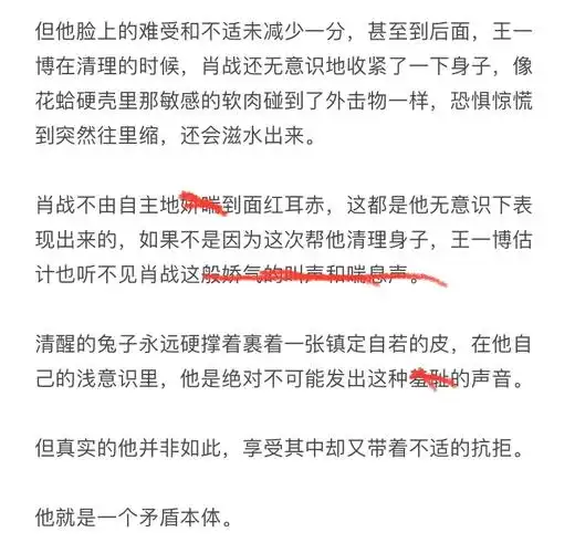 博君一肖同人文