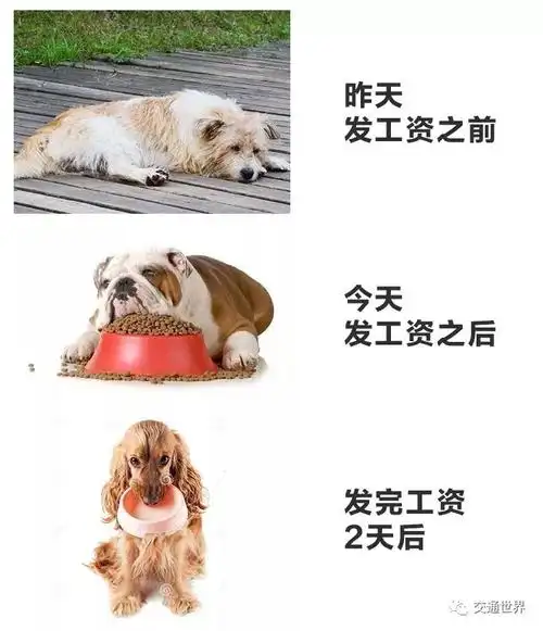 发工资前后对比你这样吗