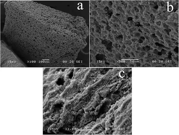图1:颗粒活性炭的扫描电子显微镜.