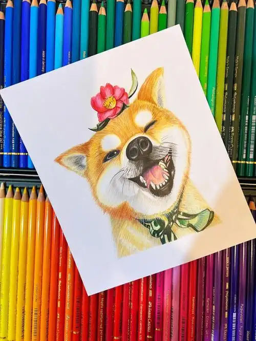 彩铅柴犬要开心09