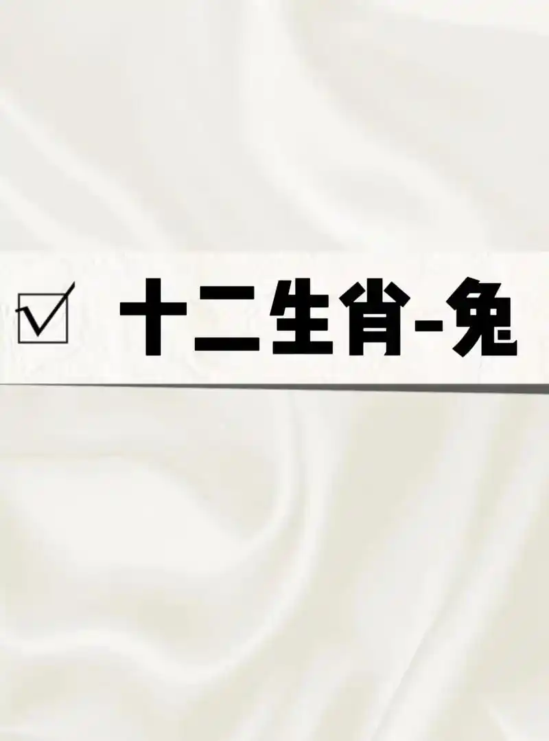 十二生肖兔的守护神.#创作灵感 #翡翠 #十二生肖 #天然翡 - 抖音